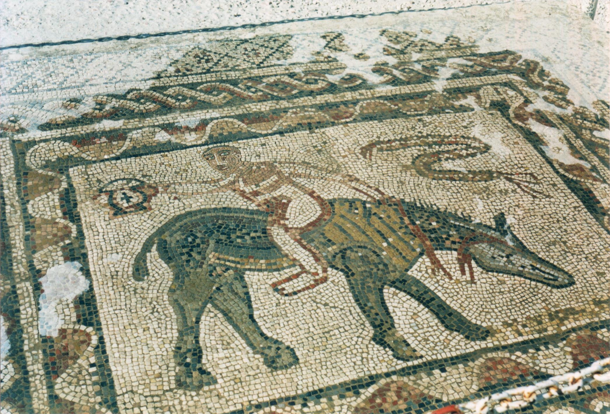 volubilis